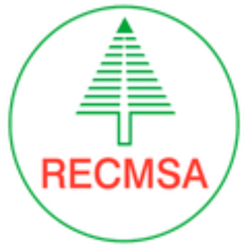 Logo-Recmsa-def
