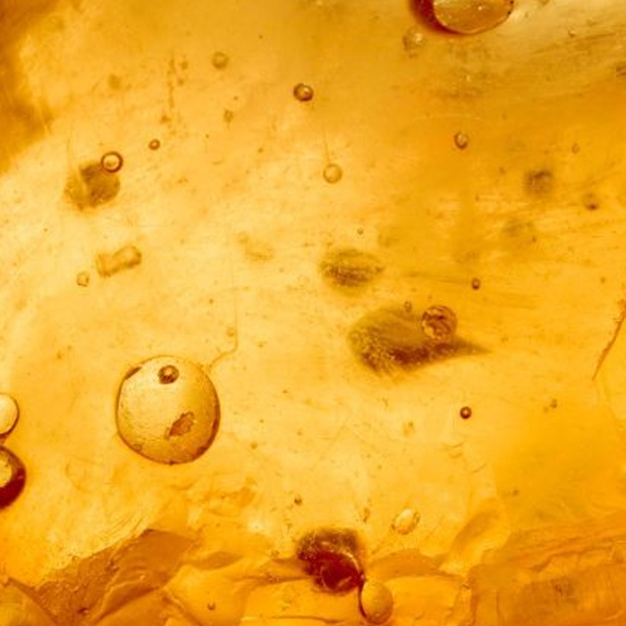 Aplicaciones de resinas en pinturas, barnices, adhesivos y plásticos