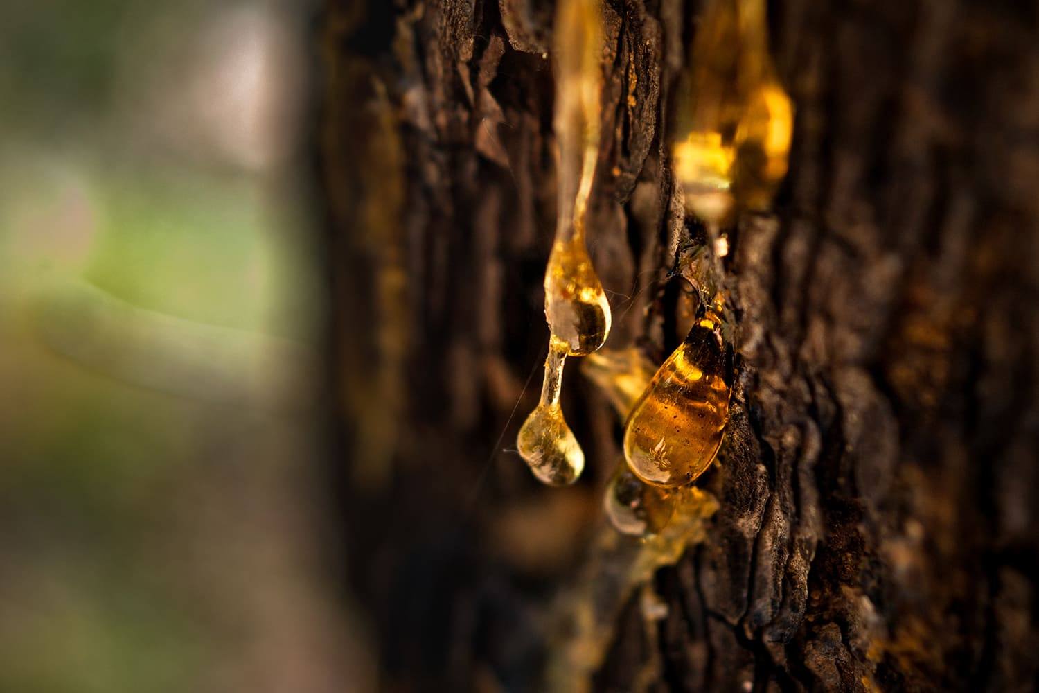 Equipo experto en resinas industriales y atención personalizada