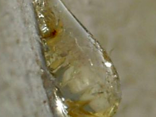 Resinas alquídicas para pinturas y barnices de alta resistencia