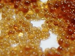 Resinas de colofonia para adhesivos y aplicaciones industriales